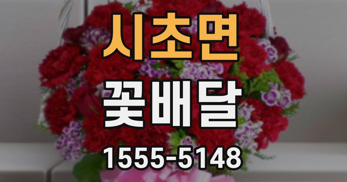 시초면 꽃배달