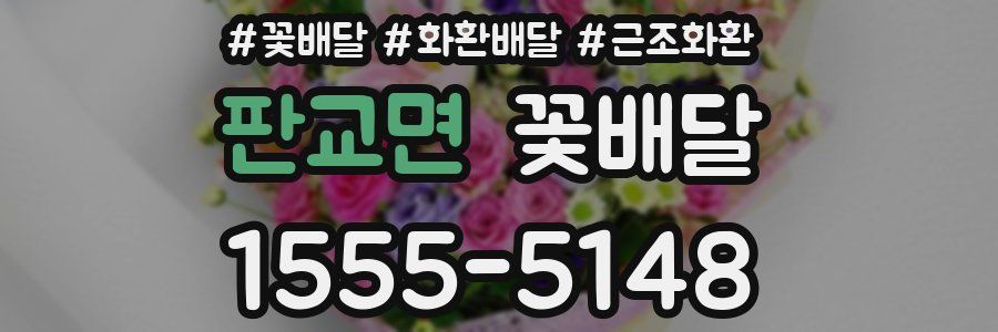 판교면 꽃배달