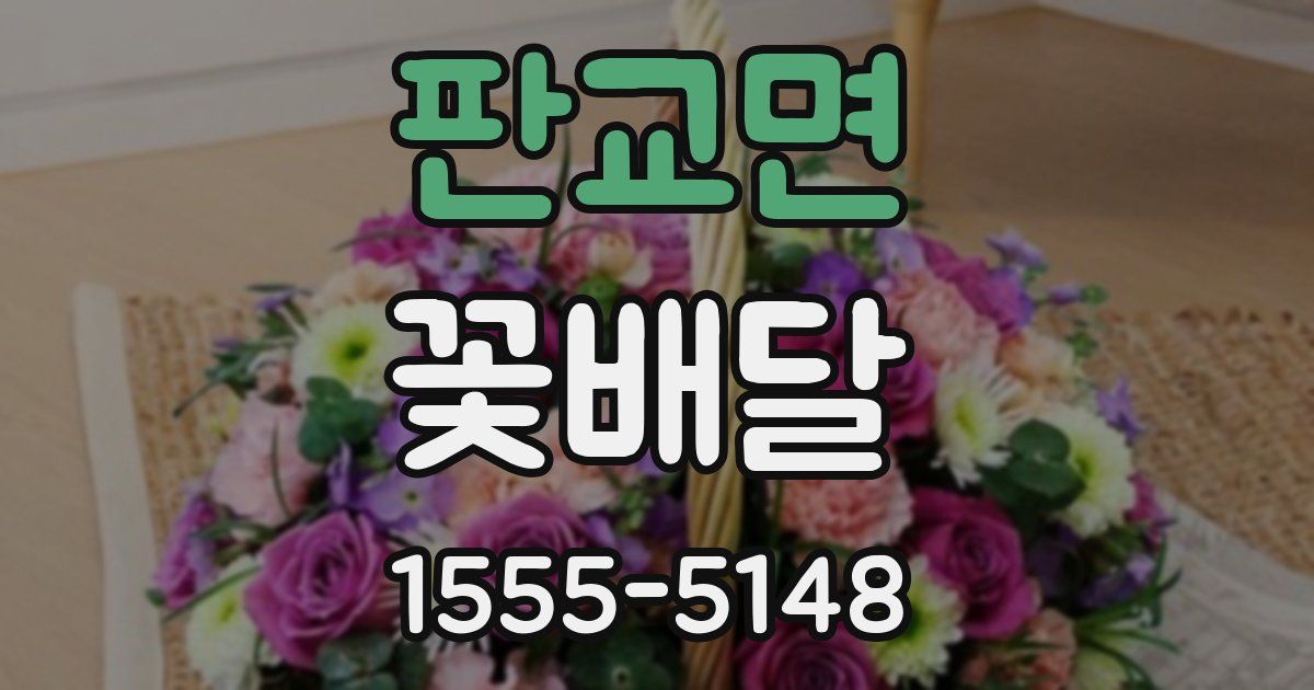 판교면 꽃배달