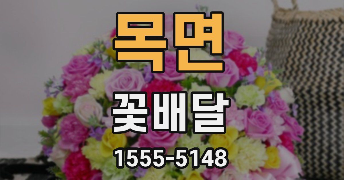목면 꽃배달
