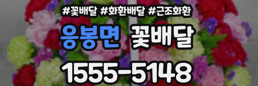 응봉면 꽃배달