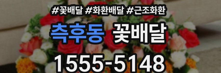 측후동 꽃배달