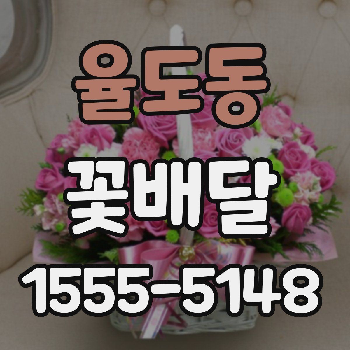 율도동 꽃배달 실내에 두기 좋은 화분형 구성 살펴보기