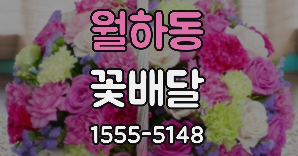 월하동 꽃배달