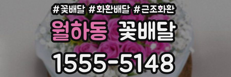월하동 꽃배달