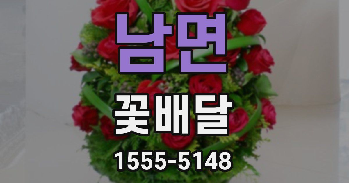 남면 꽃배달
