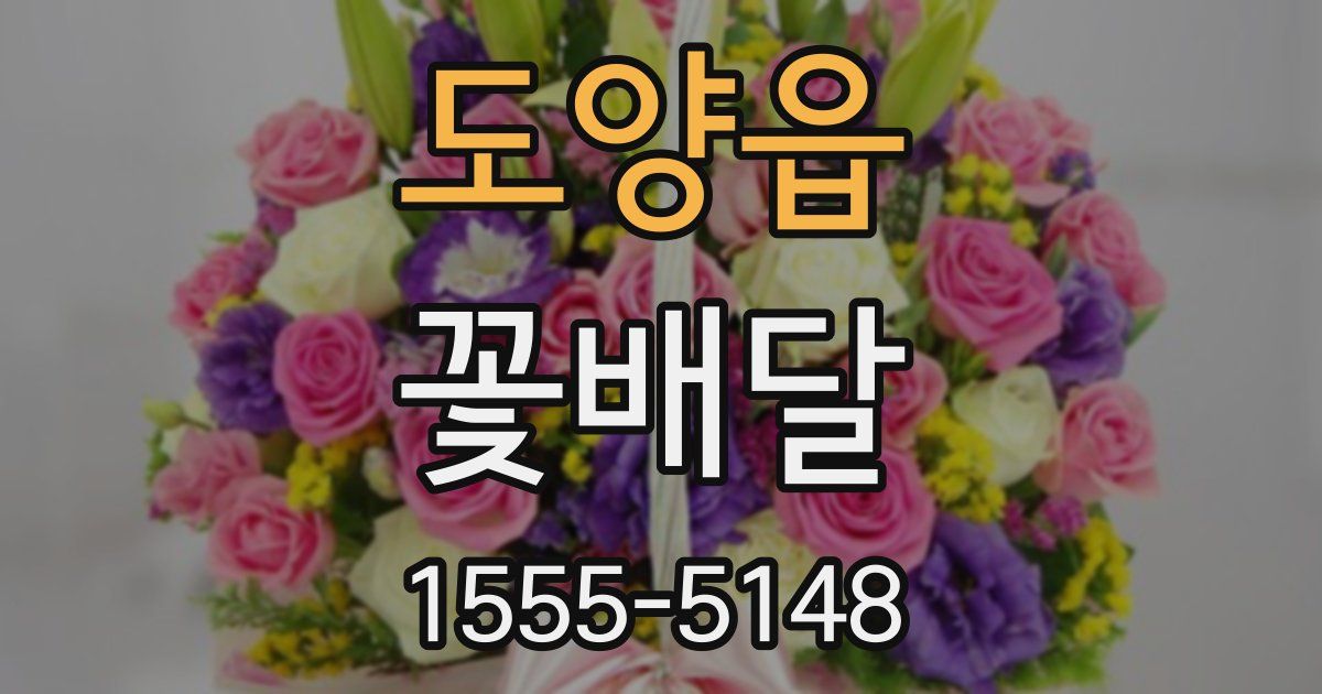 도양읍 꽃배달