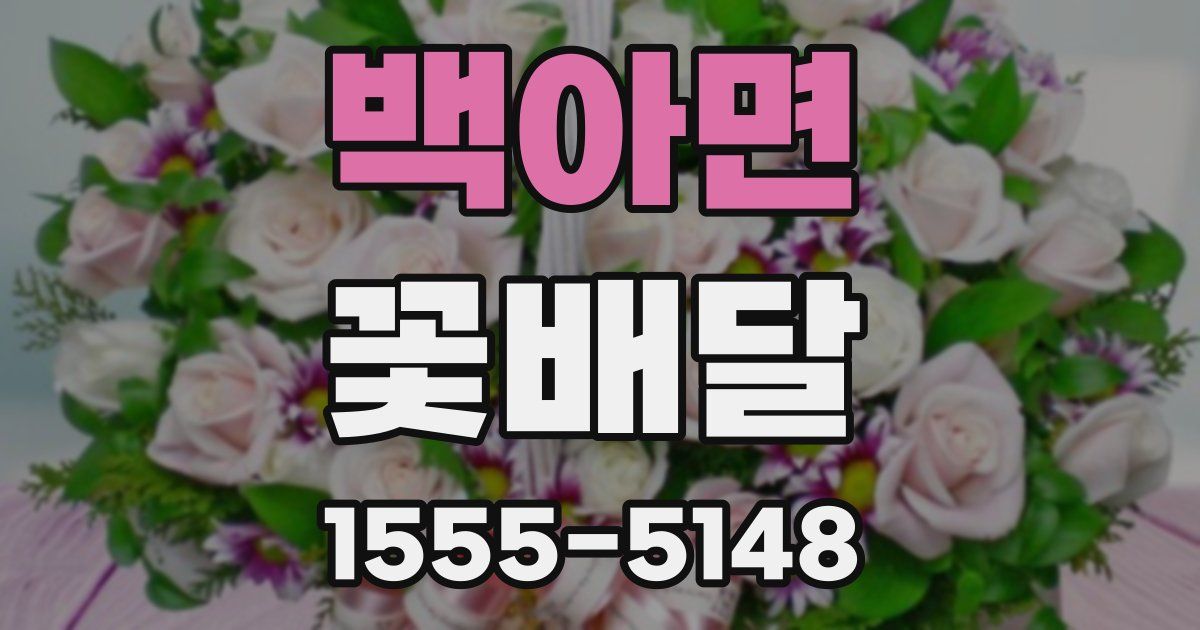 백아면 꽃배달