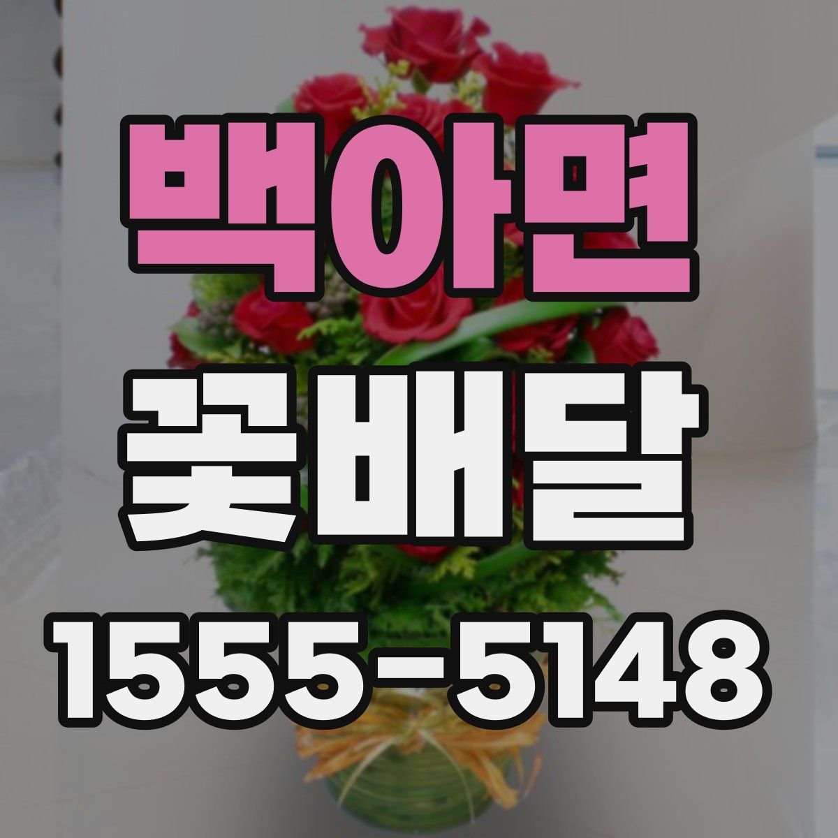 백아면 꽃배달
