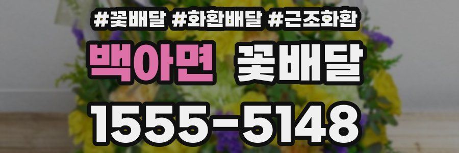 백아면 꽃배달