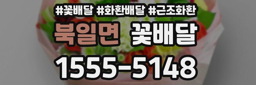 북일면 꽃배달