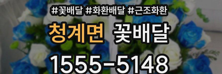 청계면 꽃배달