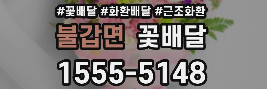 불갑면 꽃배달