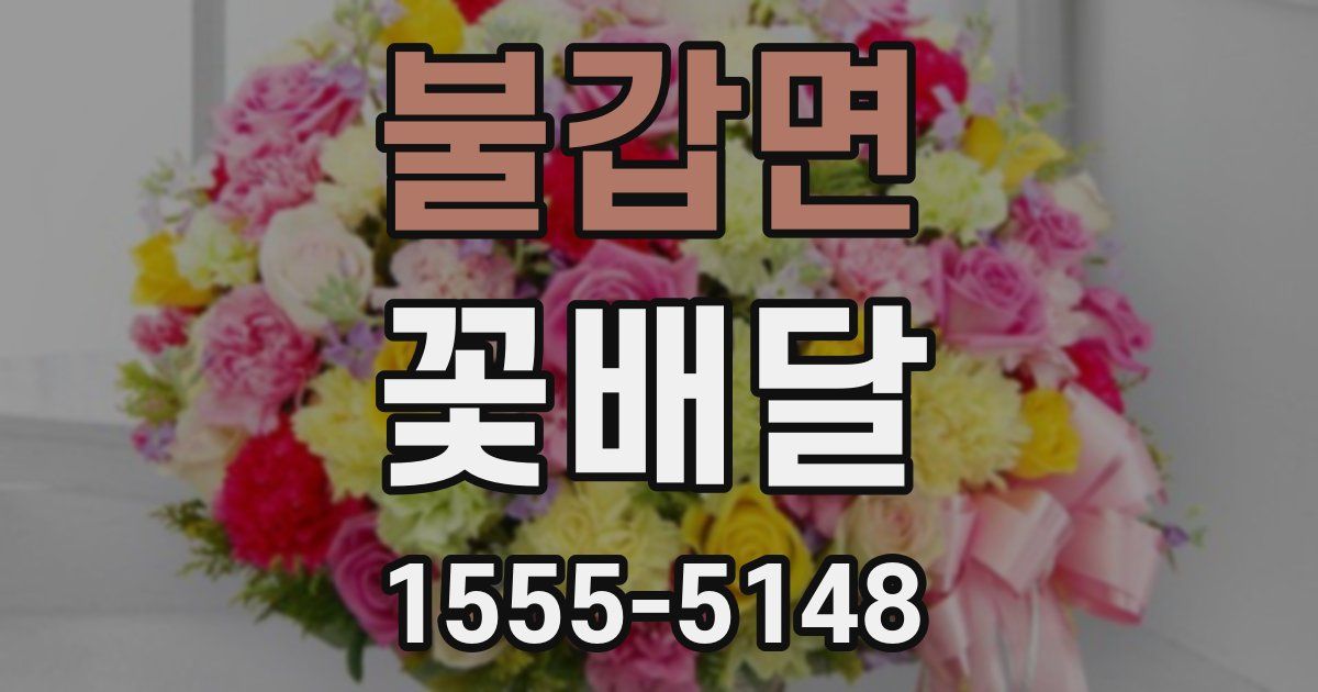 불갑면 꽃배달
