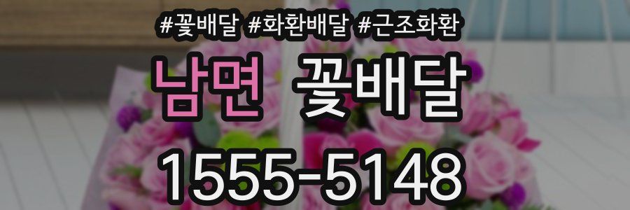 남면 꽃배달