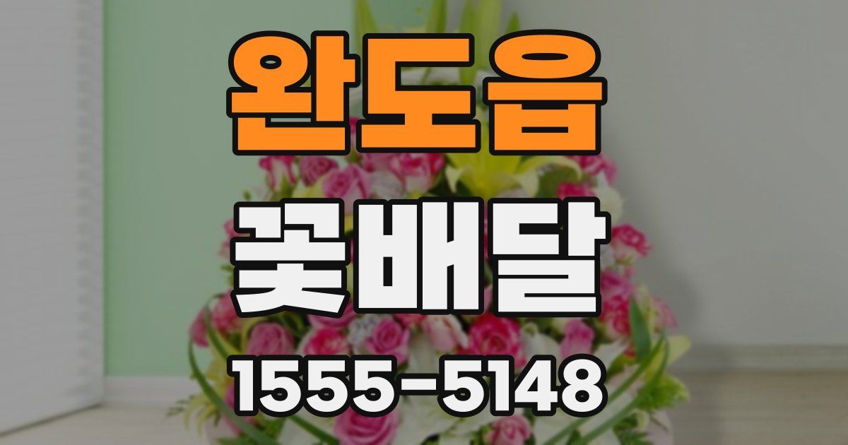 완도읍 꽃배달
