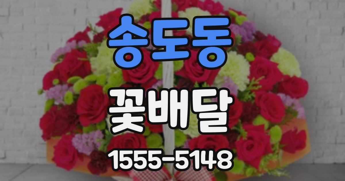 송도동 꽃배달