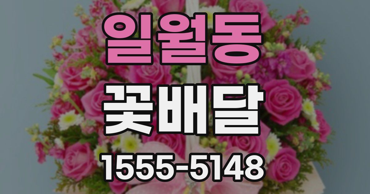 일월동 꽃배달