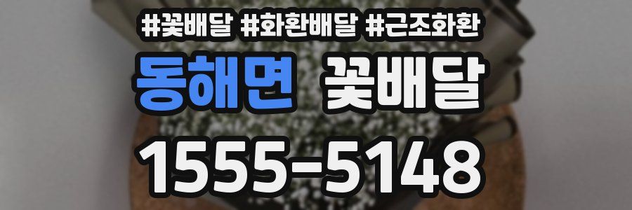 동해면 꽃배달