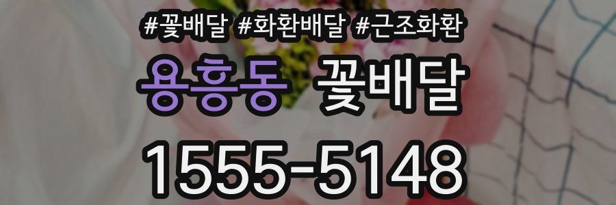 용흥동 꽃배달