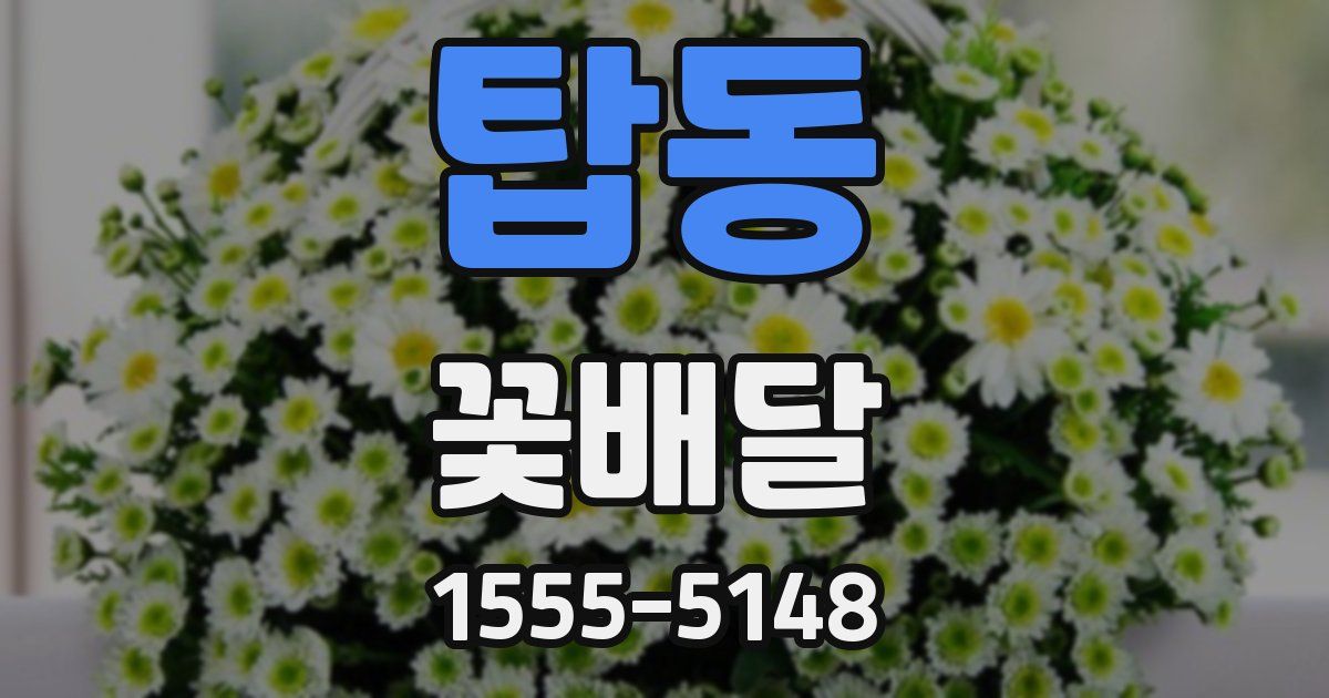 탑동 꽃배달