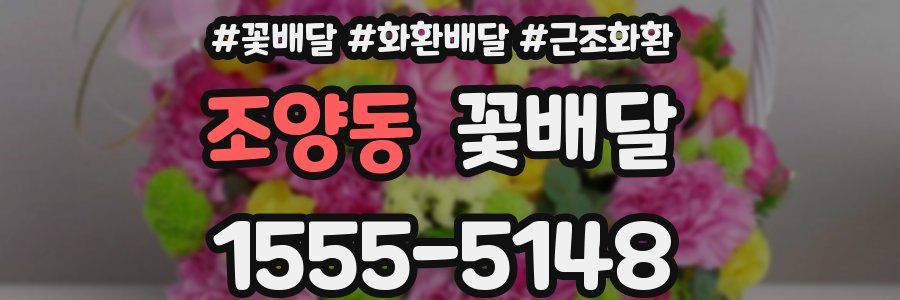 조양동 꽃배달