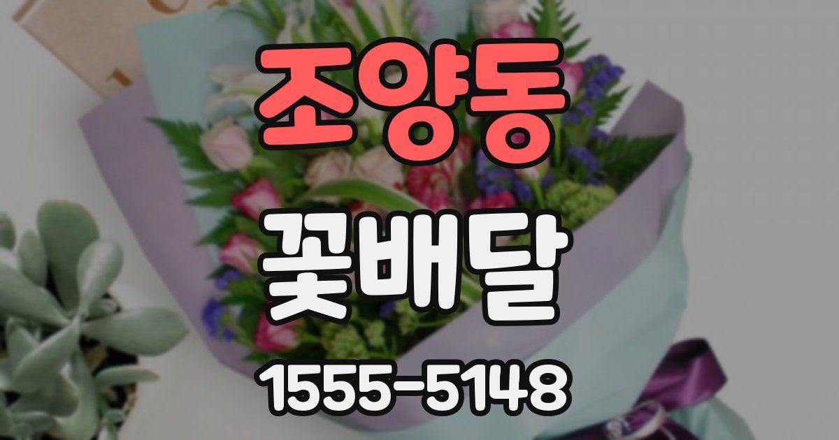 조양동 꽃배달
