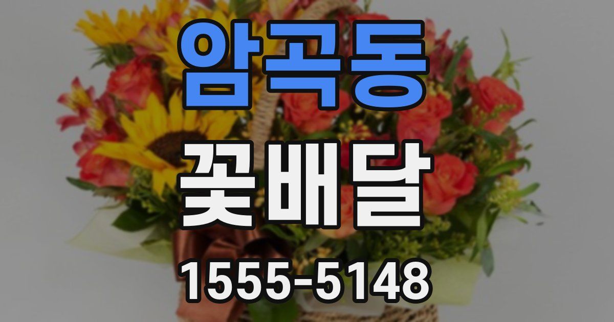 암곡동 꽃배달