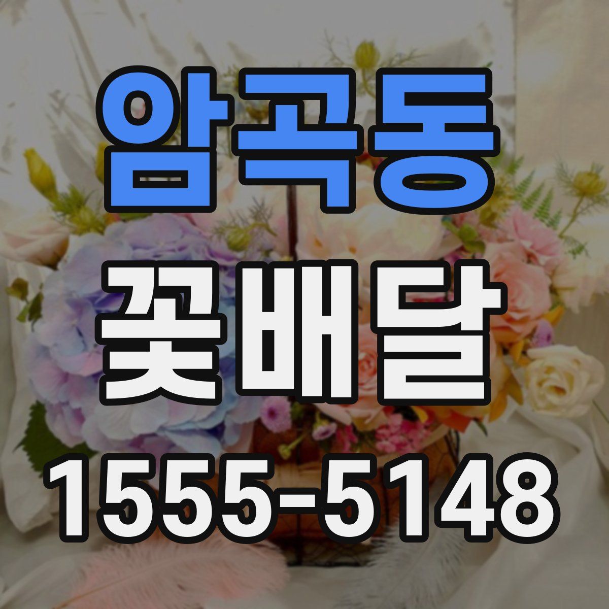 암곡동 꽃배달