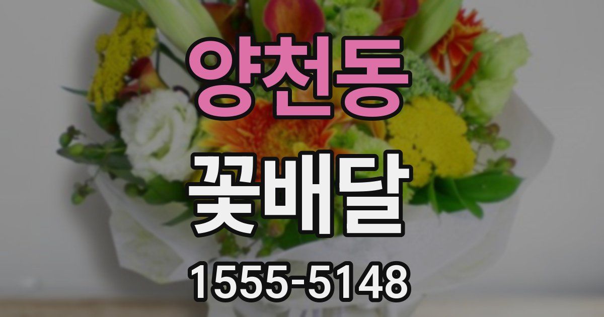 양천동 꽃배달