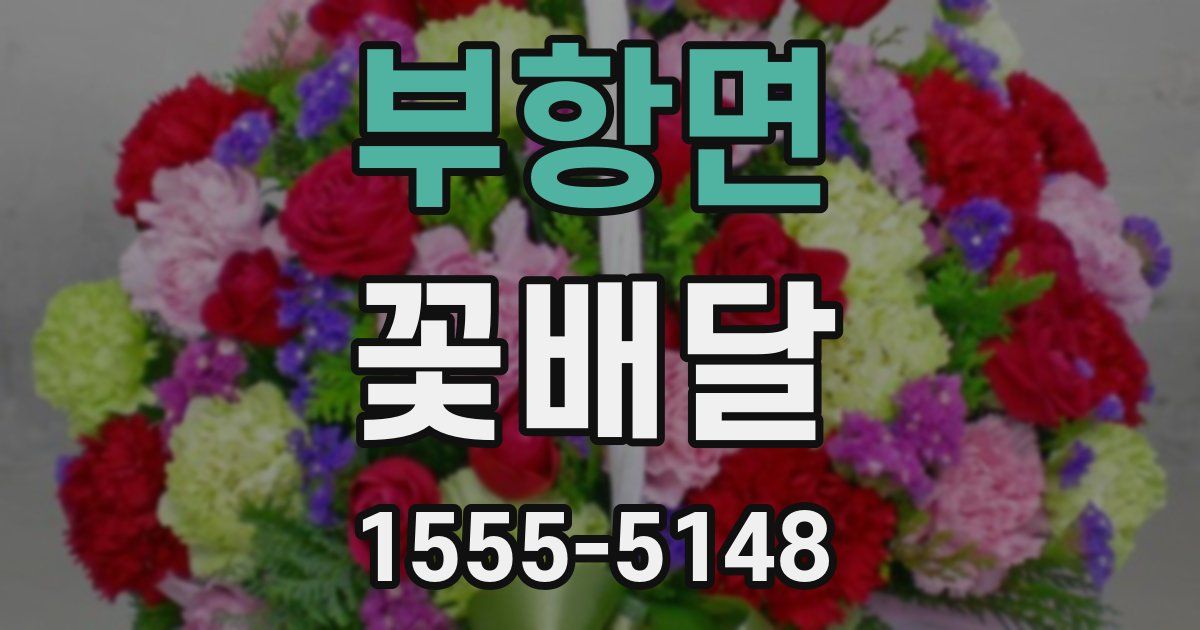 부항면 꽃배달