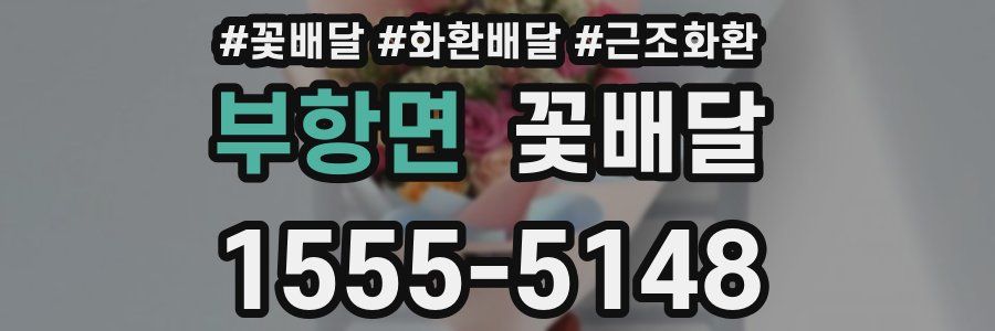 부항면 꽃배달
