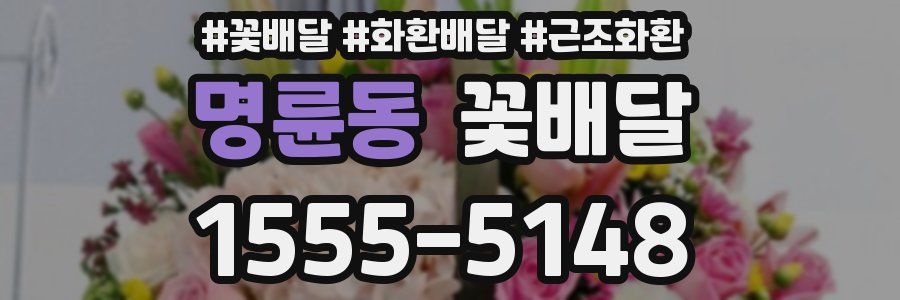 명륜동 꽃배달