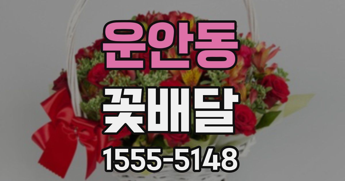 운안동 꽃배달