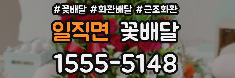 일직면 꽃배달