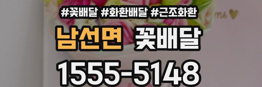 남선면 꽃배달