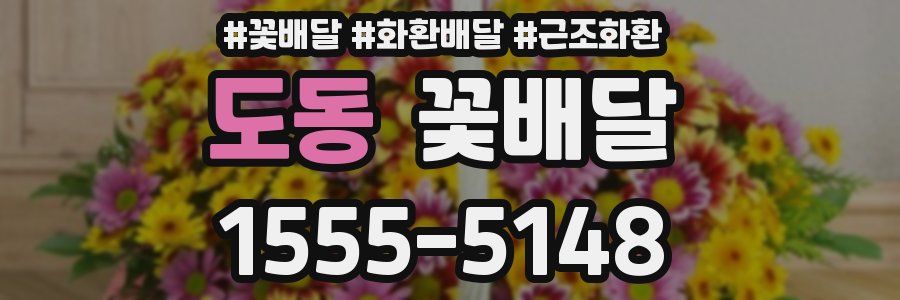 도동 꽃배달
