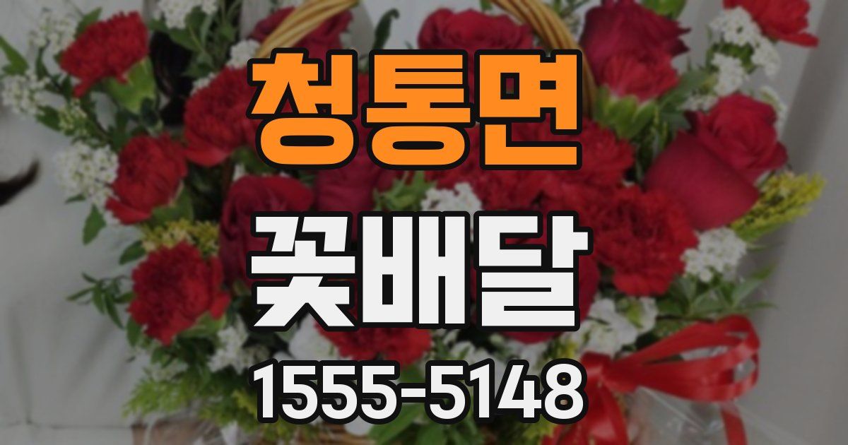 청통면 꽃배달