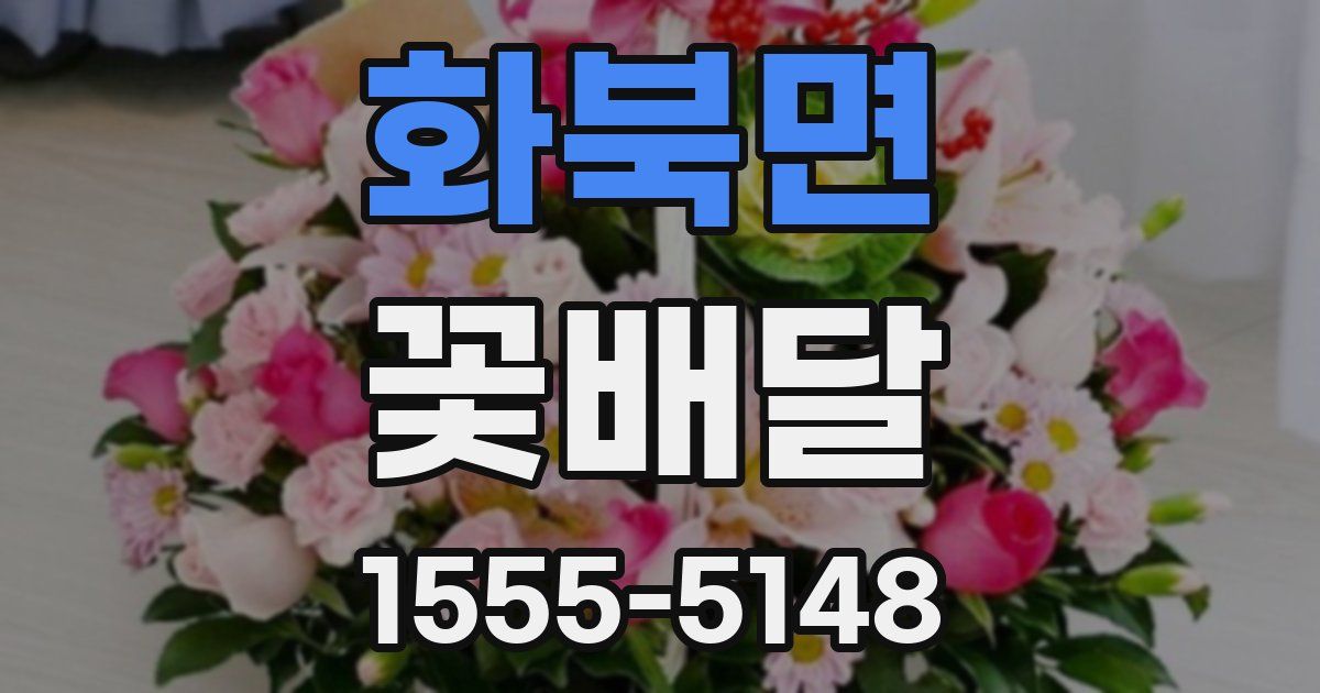 화북면 꽃배달