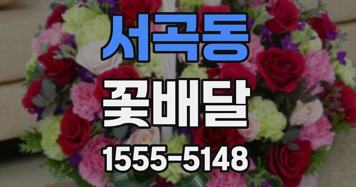 서곡동 꽃배달