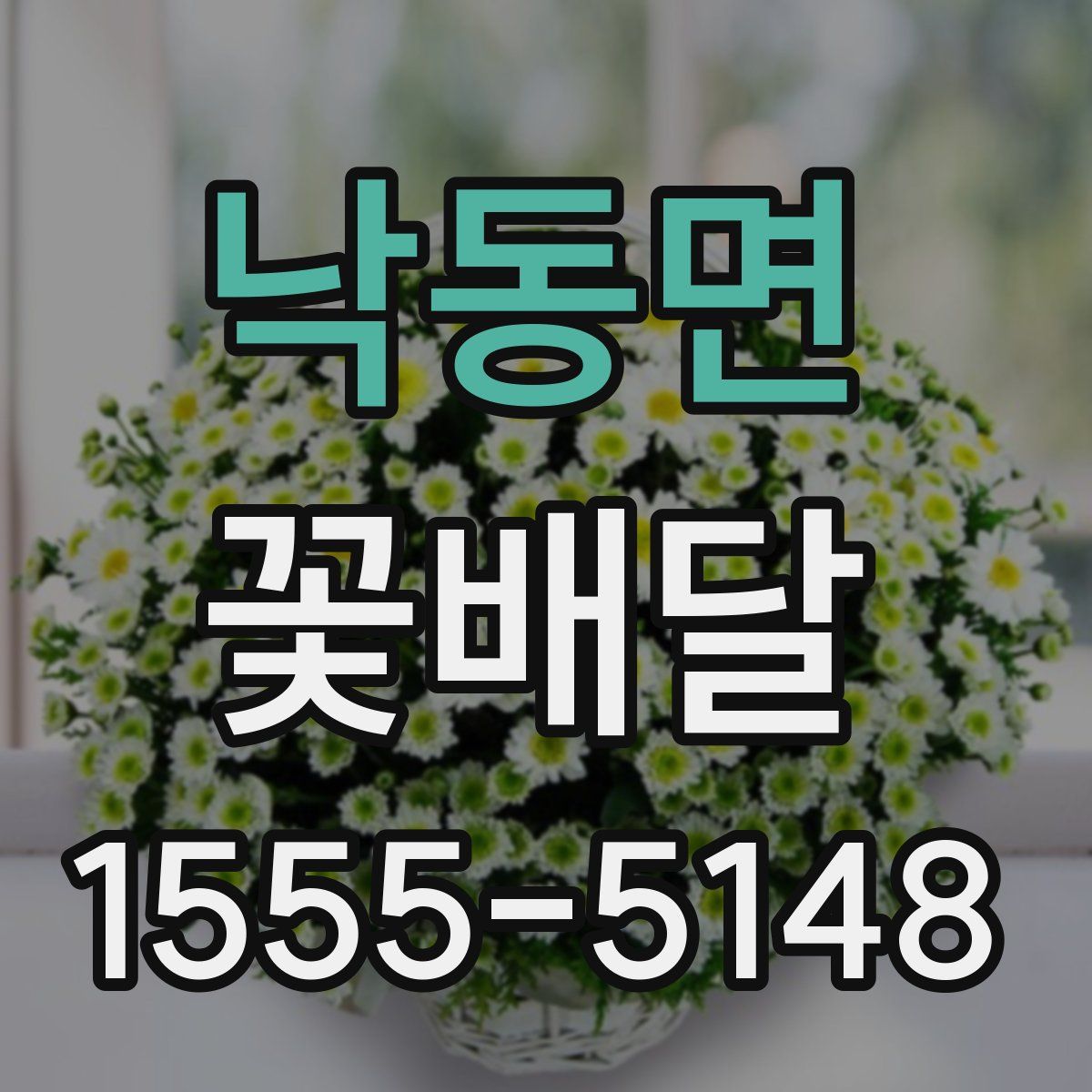 낙동면 꽃배달