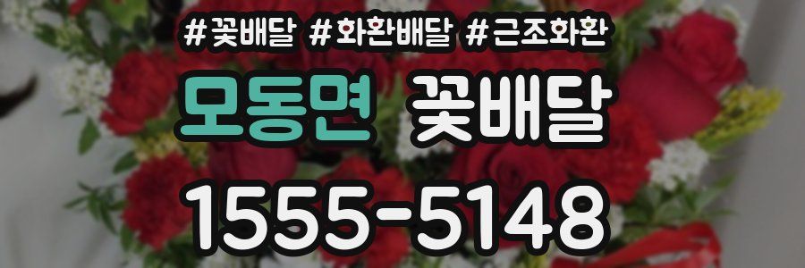 모동면 꽃배달