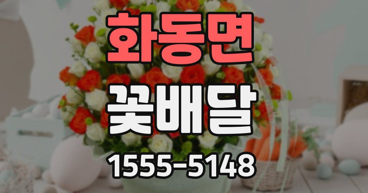 화동면 꽃배달