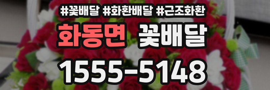 화동면 꽃배달