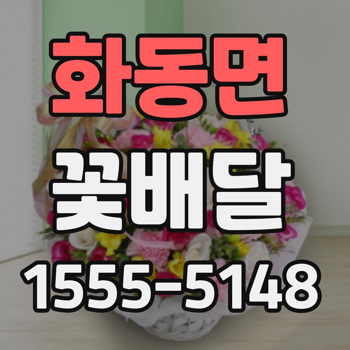 화동면 꽃배달