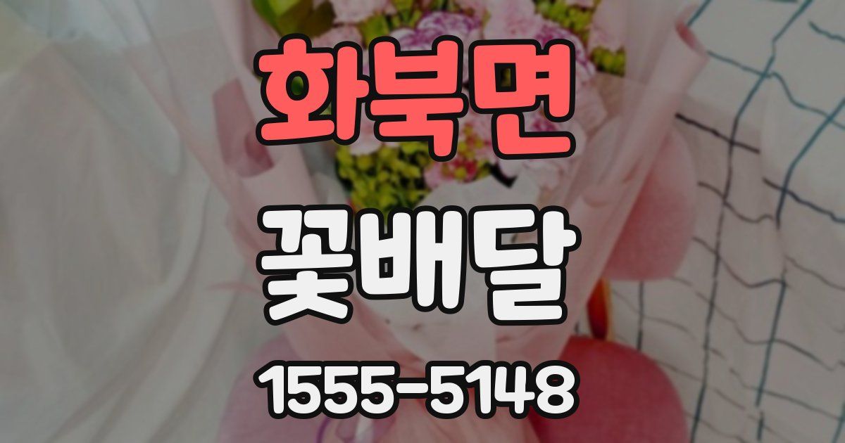 화북면 꽃배달