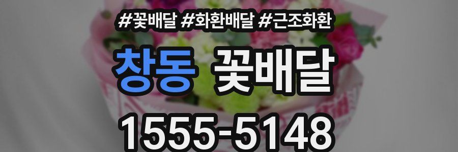 창동 꽃배달
