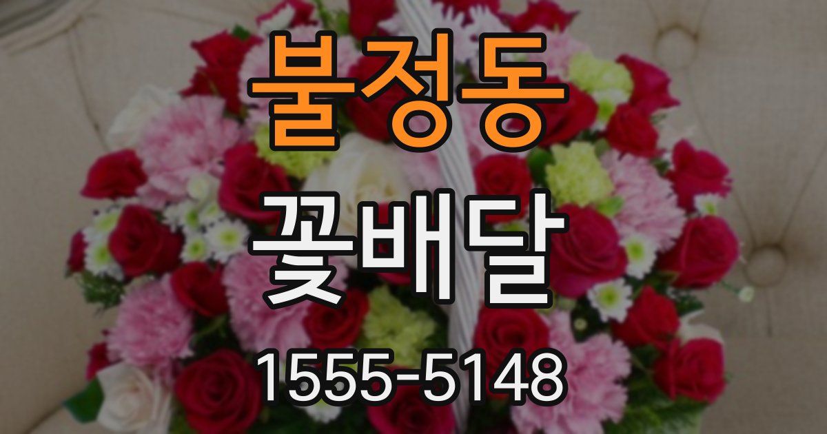 불정동 꽃배달