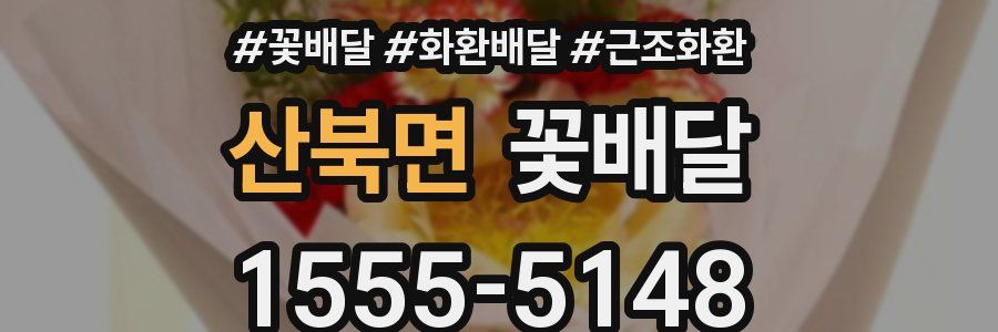 산북면 꽃배달
