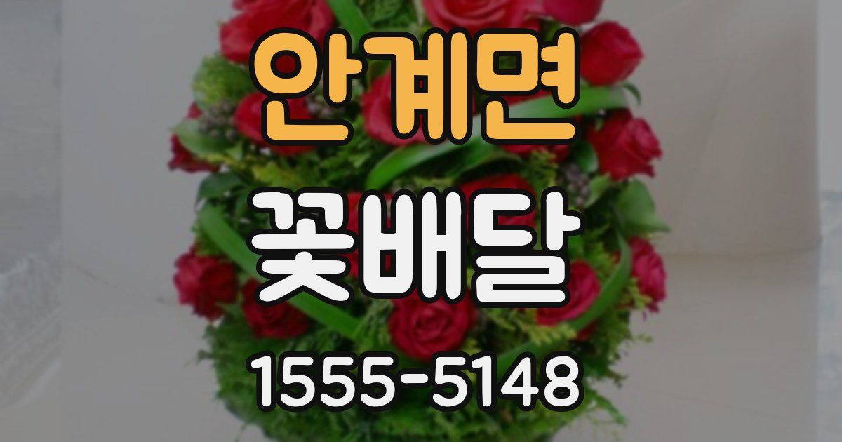 안계면 꽃배달